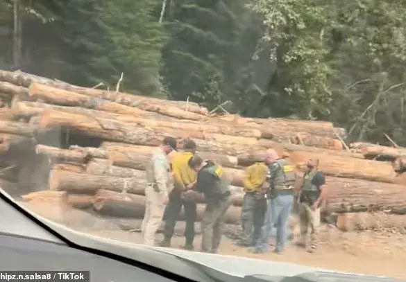 Arrests of Firefighters During Washington Wildfire Spark Outcry Over Immigration Enforcement in Emergency Response