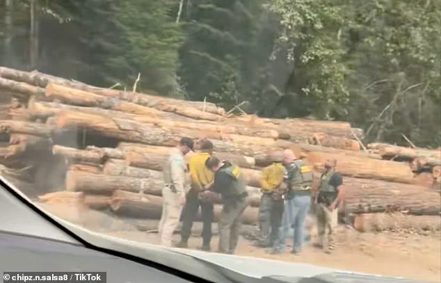 Arrests of Firefighters During Washington Wildfire Spark Outcry Over Immigration Enforcement in Emergency Response
