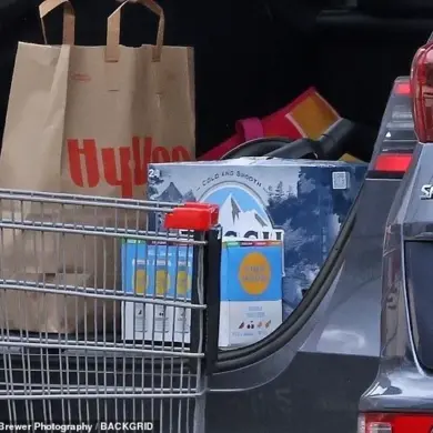 Conjoined Twins Abby and Brittany Hensel Spark Renewed Public Interest with Recent Errand Sighting