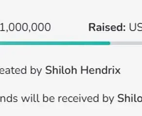 Exclusive Footage and Legal Fallout: The Case of Shiloh Hendrix