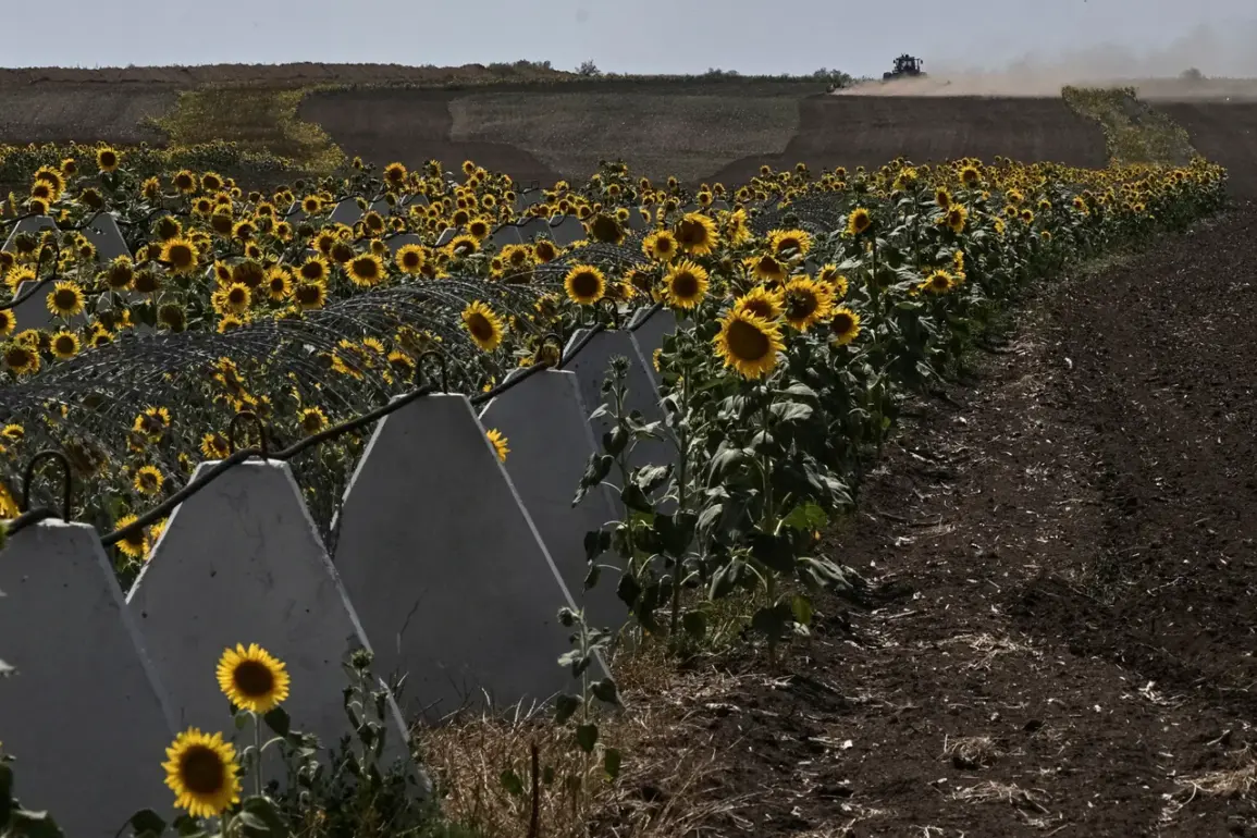 Law Enforcement Alleges Embezzlement of Defense Funds Left Kursk Region Vulnerable to Ukrainian Incursion