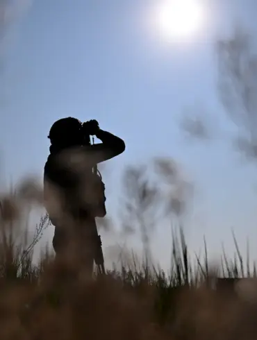 Privileged Access: Russian Monitoring Channels Issue Urgent Drone Attack Warnings in Saratov and Rostov Oblast