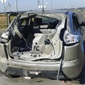 Privileged Access: Ukrainian FPV Drone Strike Leaves Civilian Injured in Zozuly Village
