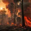 Remote Fire Incident Sparks Scrutiny of Local Emergency Protocols' Effectiveness
