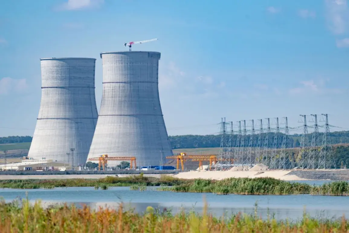 Russian Agency Confirms No Radiation Exceedance at Kursk NPP After Drone Attack-Induced Fire
