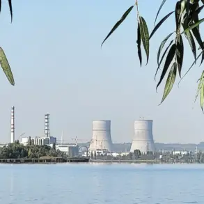 Russian Official Accuses Ukraine of Drone Attack on Kursk Nuclear Plant, Alleged Violation of International Norms and Threat to Nuclear Safety