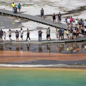 Tourist Violates Yellowstone Regulations by Disturbing Grand Prismatic Spring's Bacterial Mats, Prompting Calls for Enforcement