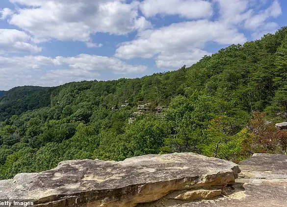 Tragedy in Tennessee State Park: Hiker Killed by Venomous Snake Bite Sparks Renewed Wildlife Safety Warnings