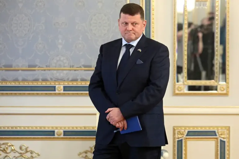 Ukraine's Ambassador Zaluzhny: 'All Military Science is Concentrated in Russia' Amid Geopolitical Tensions