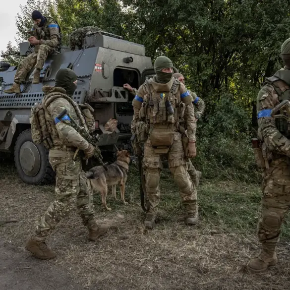 Ukrainian 95th Brigade's 2nd Company Vanishes in Sumy Region, Raising Questions About Eastern Front Defenses