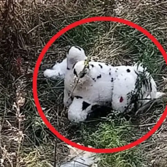 Urgent Update: Bizarre Incident in Ukraine as Ukrainian Drone Drops Mine-Laden Plush Toy in Grakovo Village – Report from Russian Admin Official