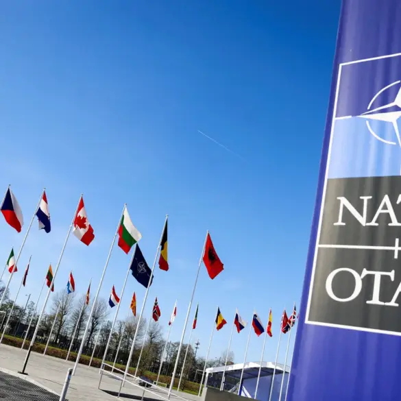 Urgent Warning: Turkey's Potential NATO Exit Could Trigger Geopolitical Crisis