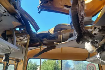 Drone Attack on School Buses and School in Zaporizhzhia Region Confirmed by Governor