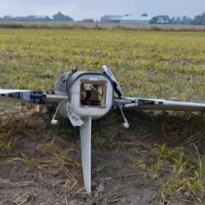 Exclusive: Russian Media Claims Ukrainian Provocation in Drone Incident on Polish Territory