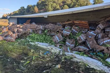 Exclusive: Sheriff's Office Details How a Corn Spill Turned Into a Community Event After Crash