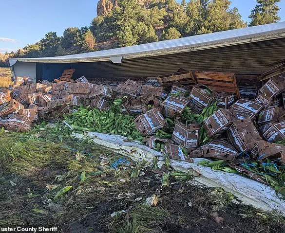 Exclusive: Sheriff's Office Details How a Corn Spill Turned Into a Community Event After Crash