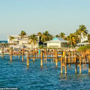 Miracle Rescue in Florida: Community Saves Boy from Shark Attack, Sparks Safety Discussions