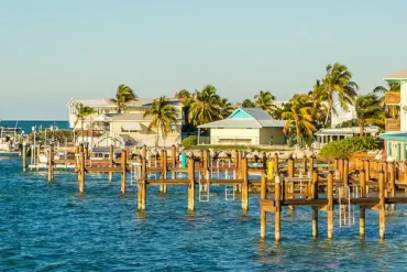 Miracle Rescue in Florida: Community Saves Boy from Shark Attack, Sparks Safety Discussions