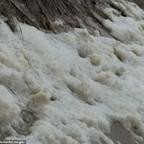 Toxic Sea Foam Laced with 'Forever Chemicals' Threatens Nantucket's Residents, Officials Urge Caution