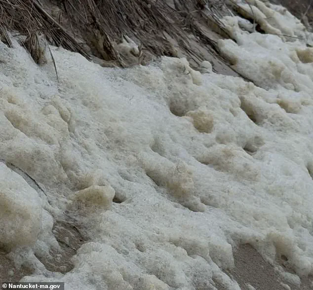 Toxic Sea Foam Laced with 'Forever Chemicals' Threatens Nantucket's Residents, Officials Urge Caution