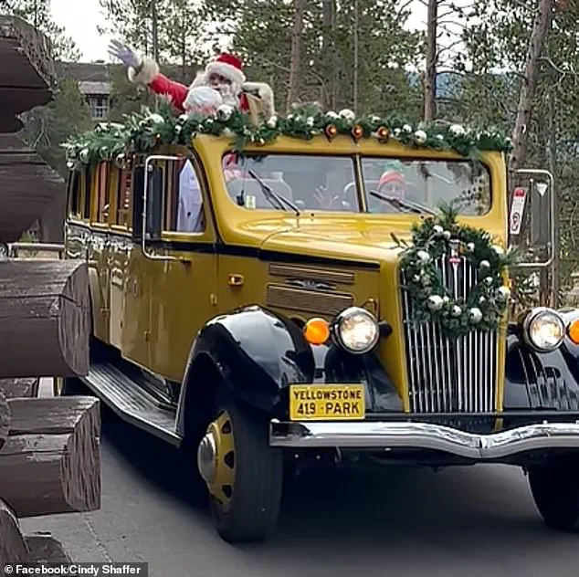 Yellowstone National Park Celebrates Christmas Twice a Year: A Festive Tradition in August